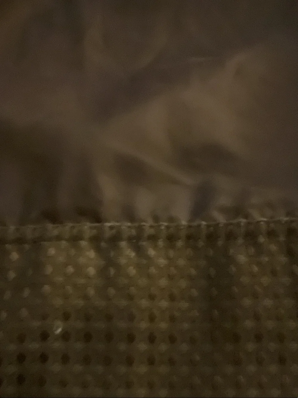 Brown Grommet-Top Shower Curtain Panel